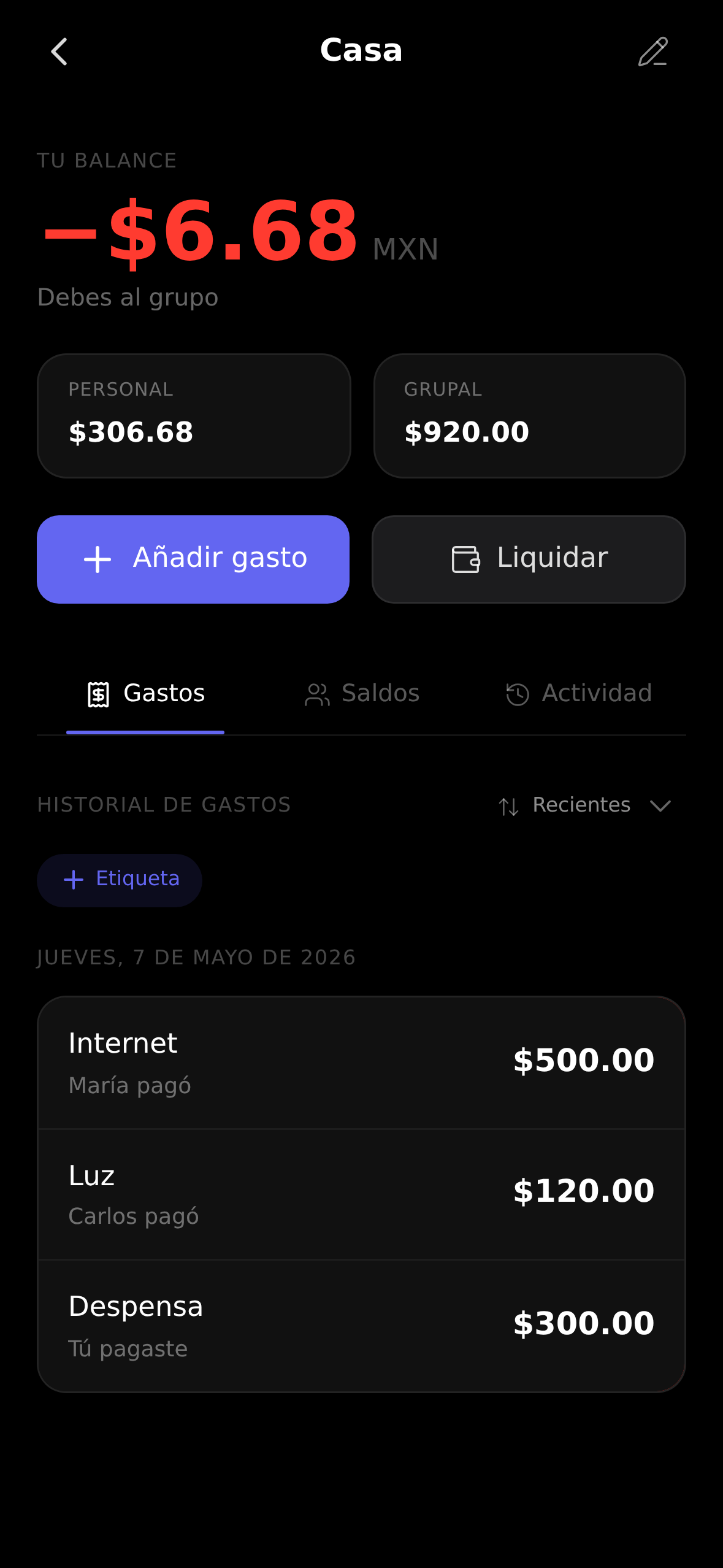 Detalle de un grupo con saldo neto y gastos recientes
